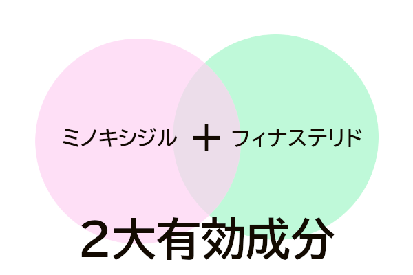 フォリックスFR12の2大有効成分