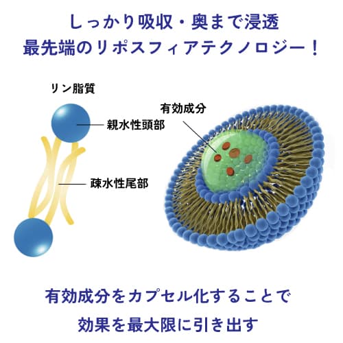 【送料無料】フォリックスFR15