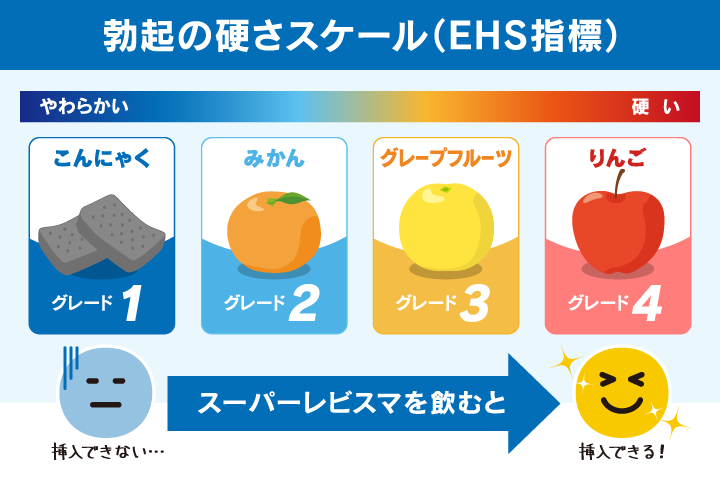 勃起の硬さのスケール