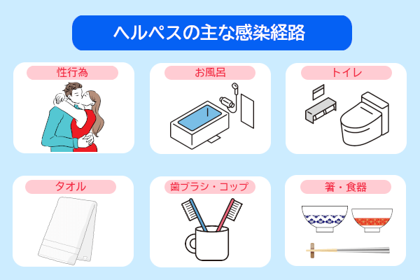 性器ヘルペスの感染経路・原因