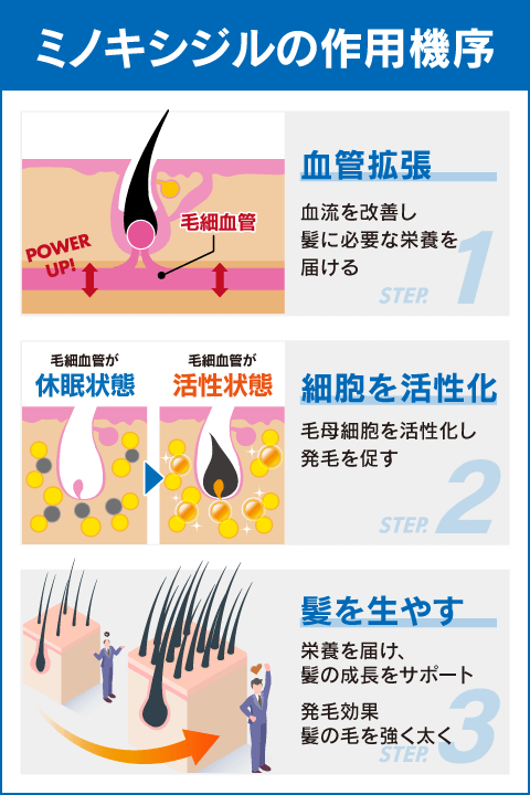 フォリックスFR15は発毛効果がある