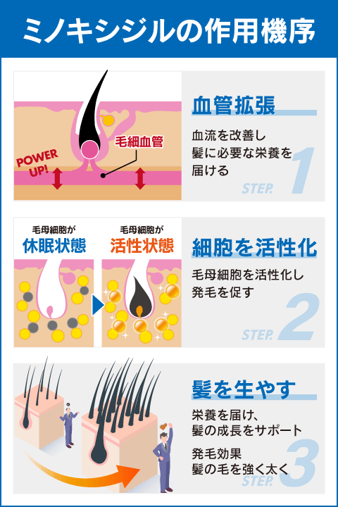 フォリックスの効果